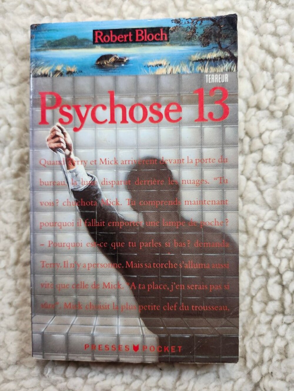 Robert Bloch Psychose 13 French Paperback Presses Pocket 1990 Horror Novel